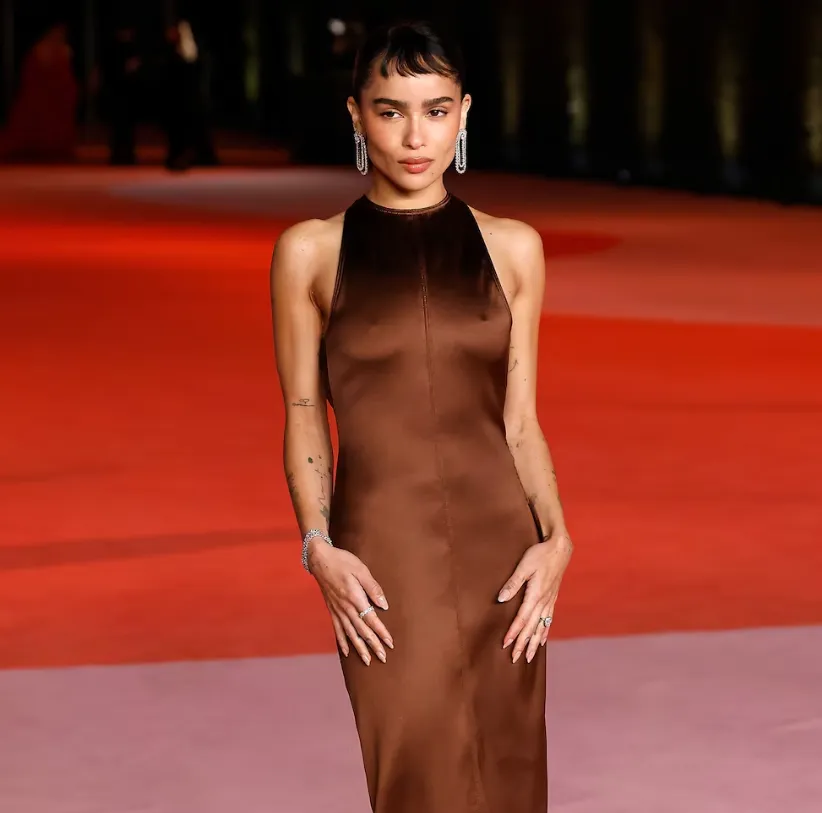 Zoe Kravitz Husband: Everything You Need to Know in 2026