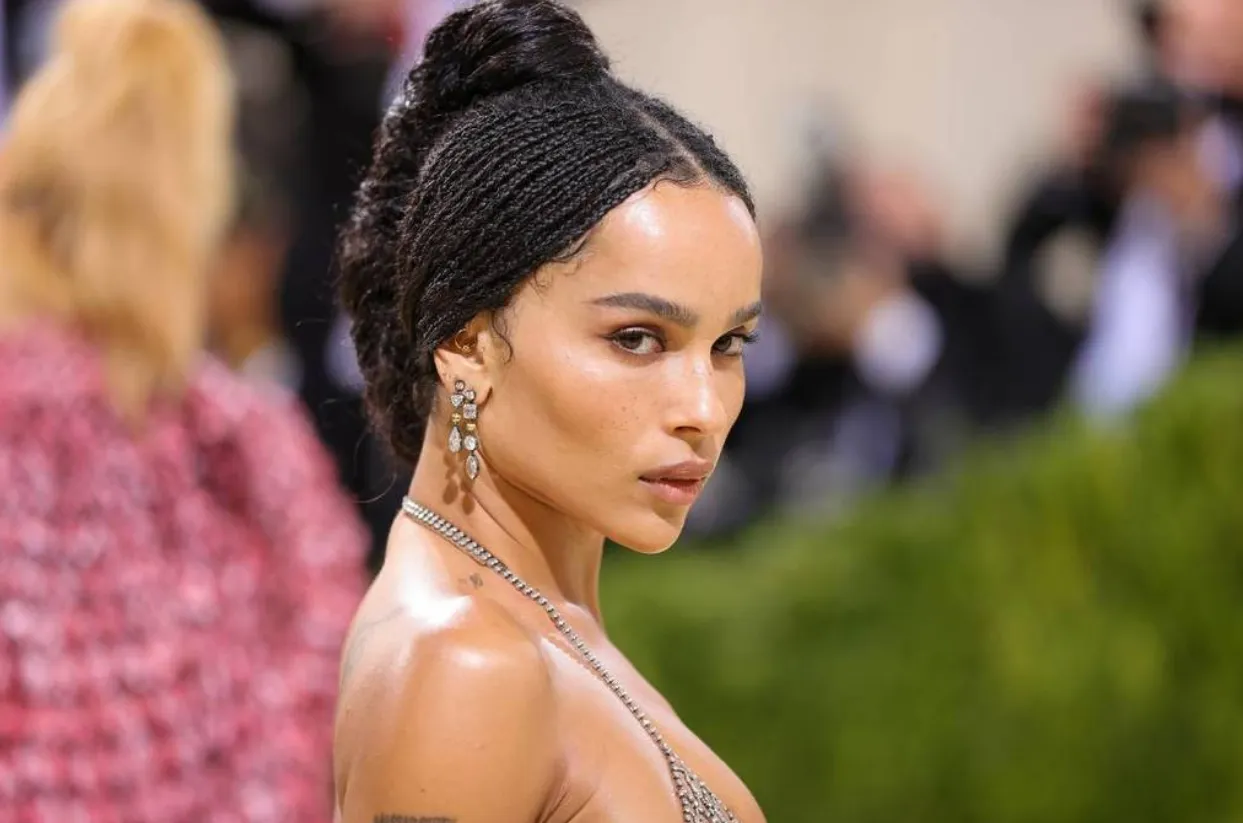 Zoe Kravitz Husband: Everything You Need to Know in 2026